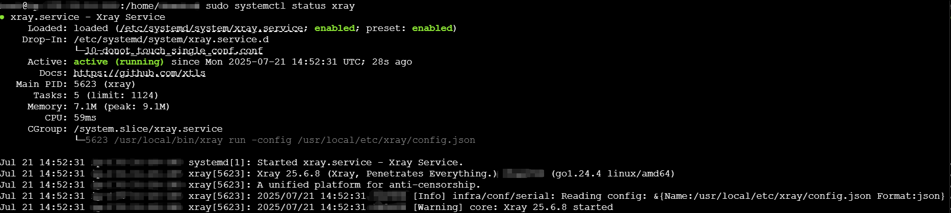 systemctl status xray